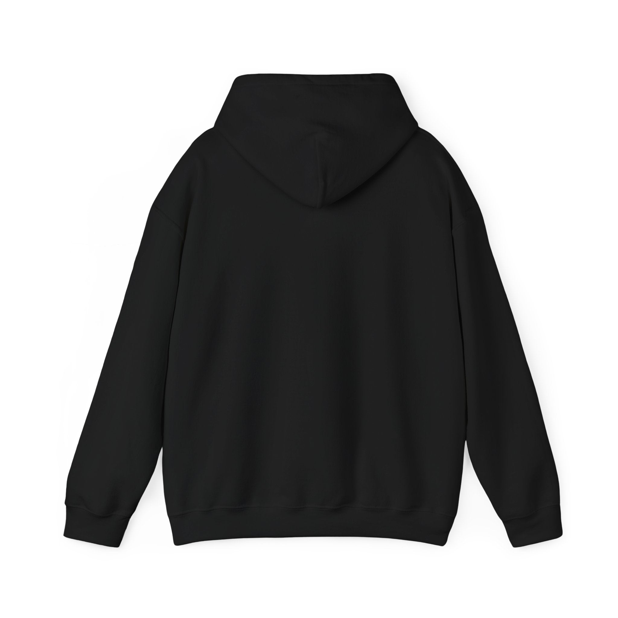 Project Secure Attachment Hoodie