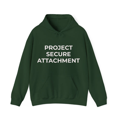 Project Secure Attachment Hoodie