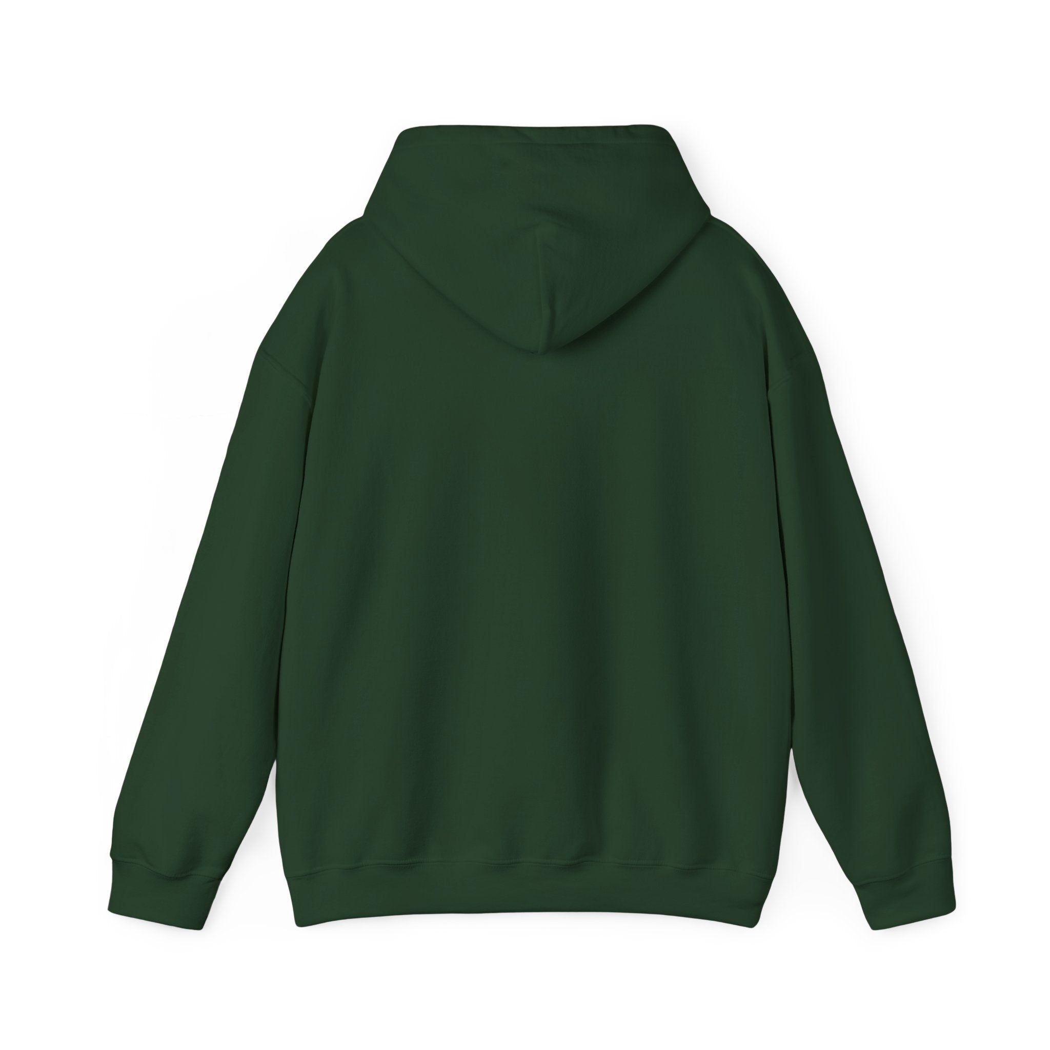 Project Secure Attachment Hoodie