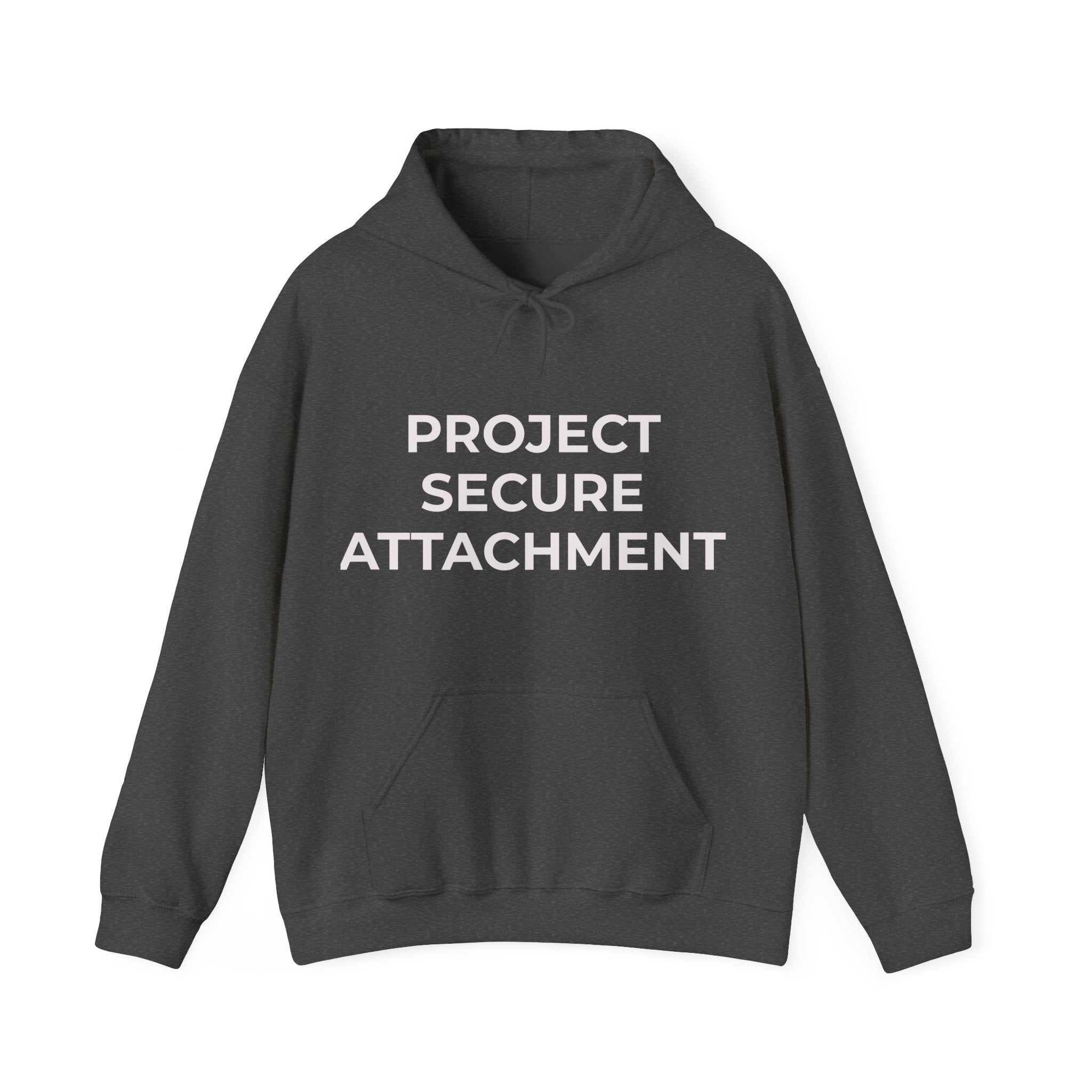 Project Secure Attachment Hoodie